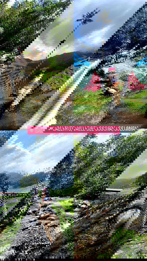 yasmin_kb yasmin_kb archive image