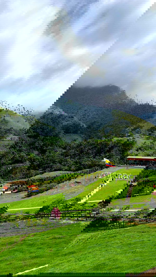 yasmin_kb yasmin_kb archive image