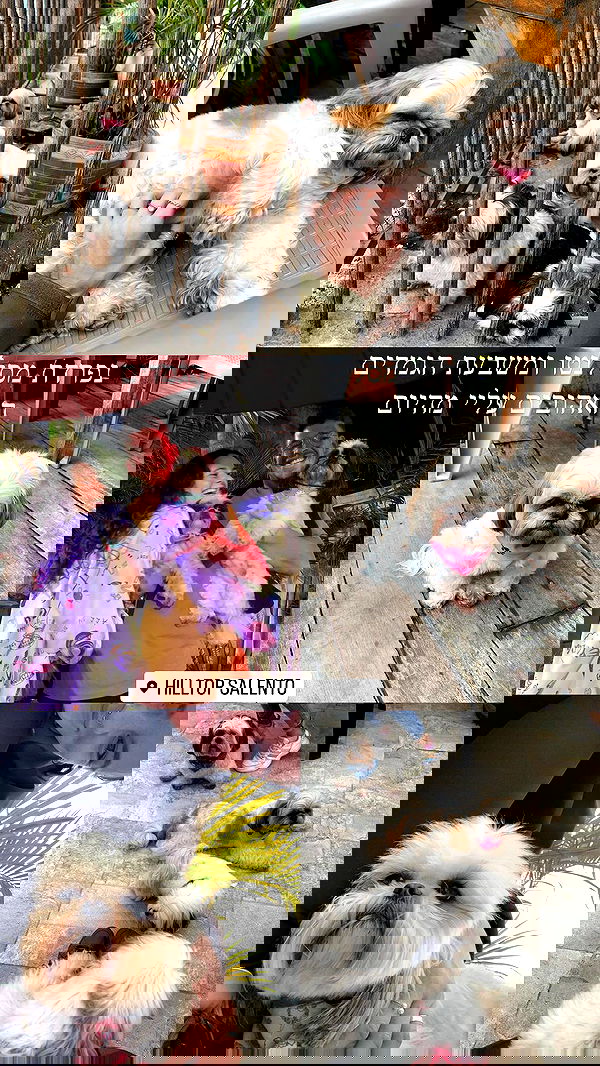 yasmin_kb yasmin_kb archive image