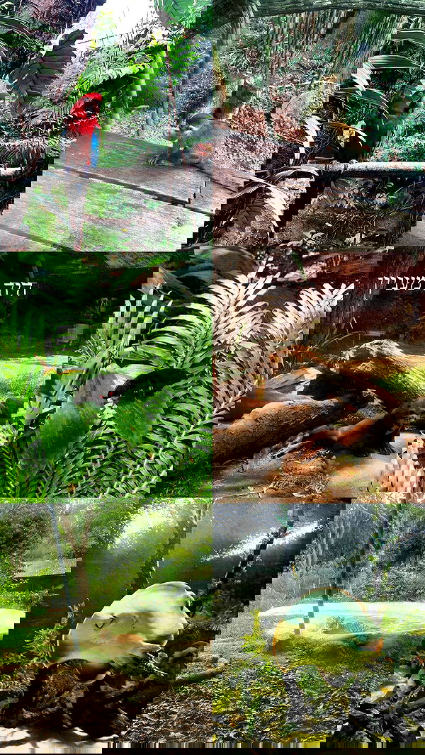 yasmin_kb yasmin_kb archive image