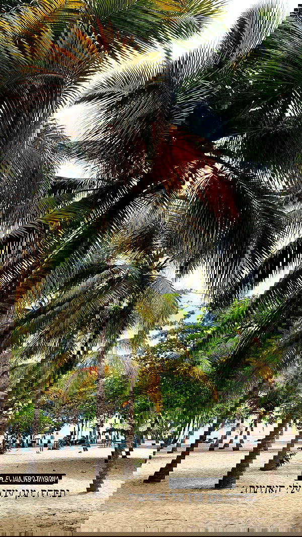 yasmin_kb yasmin_kb archive image