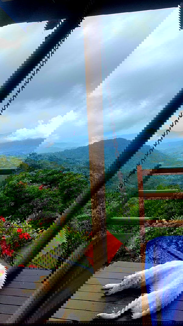 yasmin_kb yasmin_kb archive image