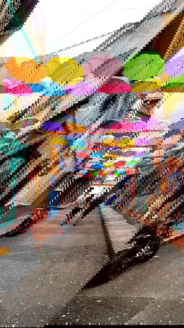 yasmin_kb yasmin_kb archive image