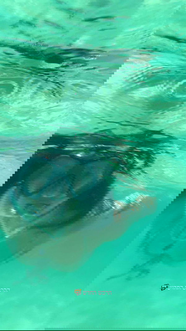 yasmin_kb yasmin_kb archive image