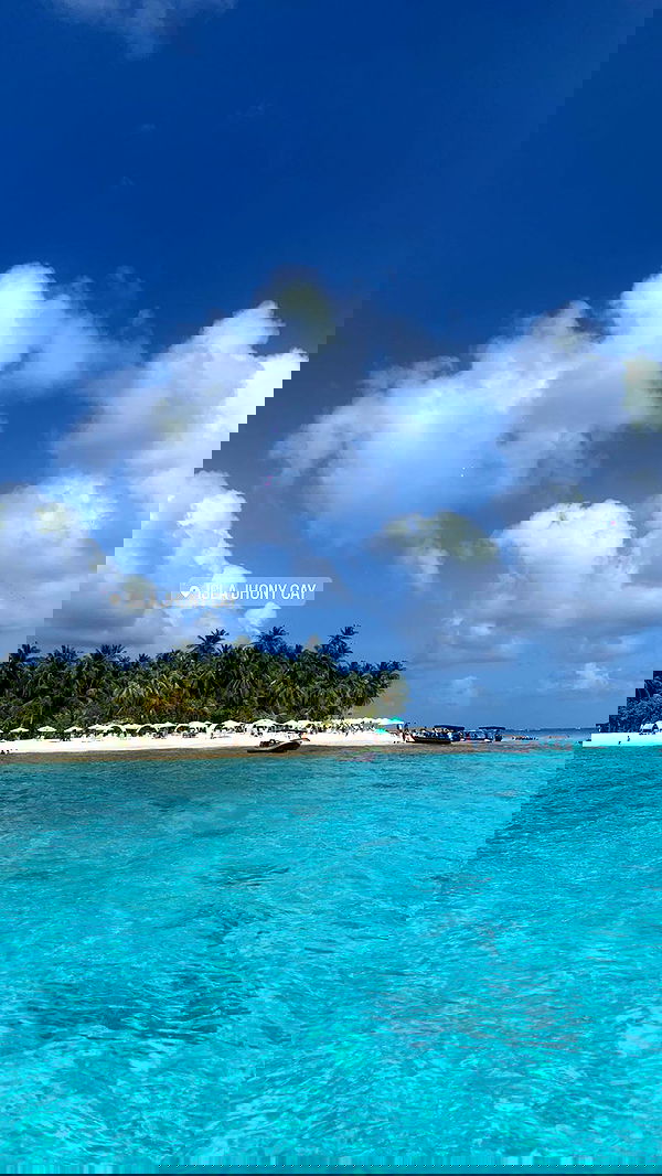 yasmin_kb yasmin_kb archive image