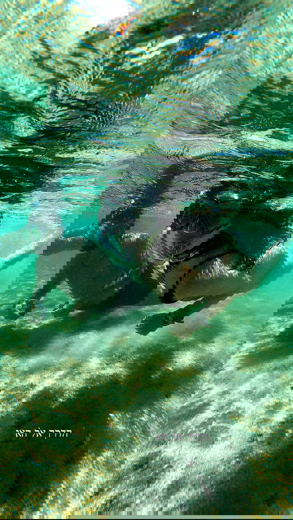 yasmin_kb yasmin_kb archive image