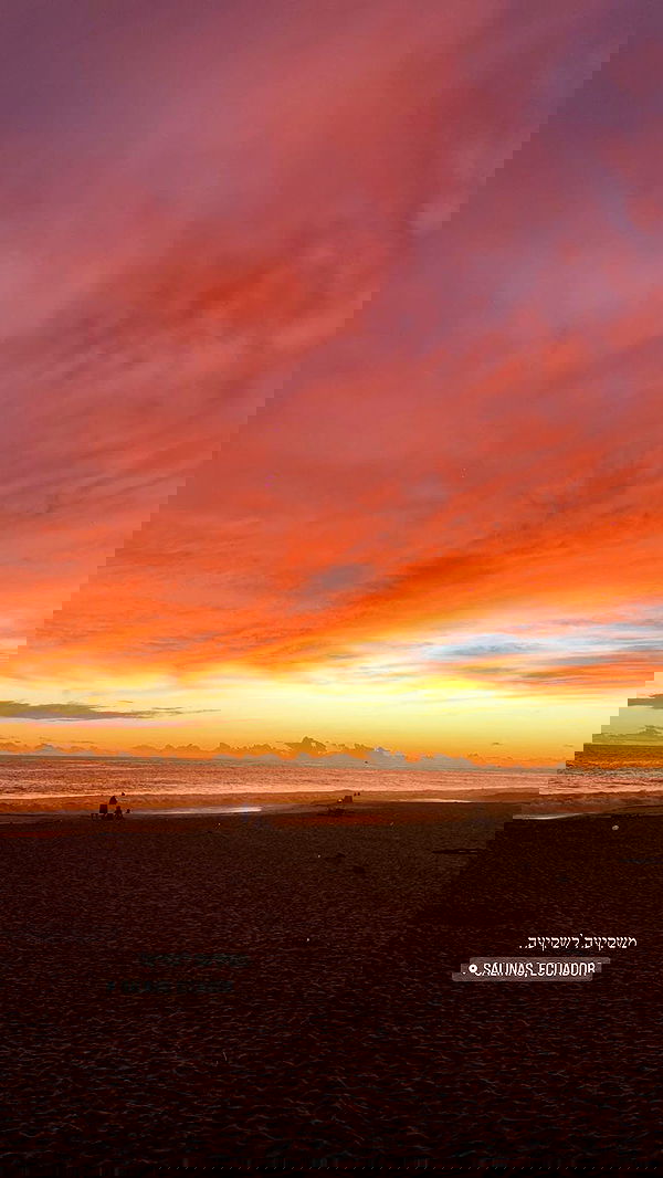 yasmin_kb yasmin_kb archive image