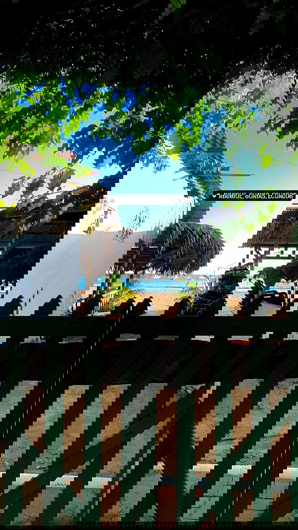 yasmin_kb yasmin_kb archive image