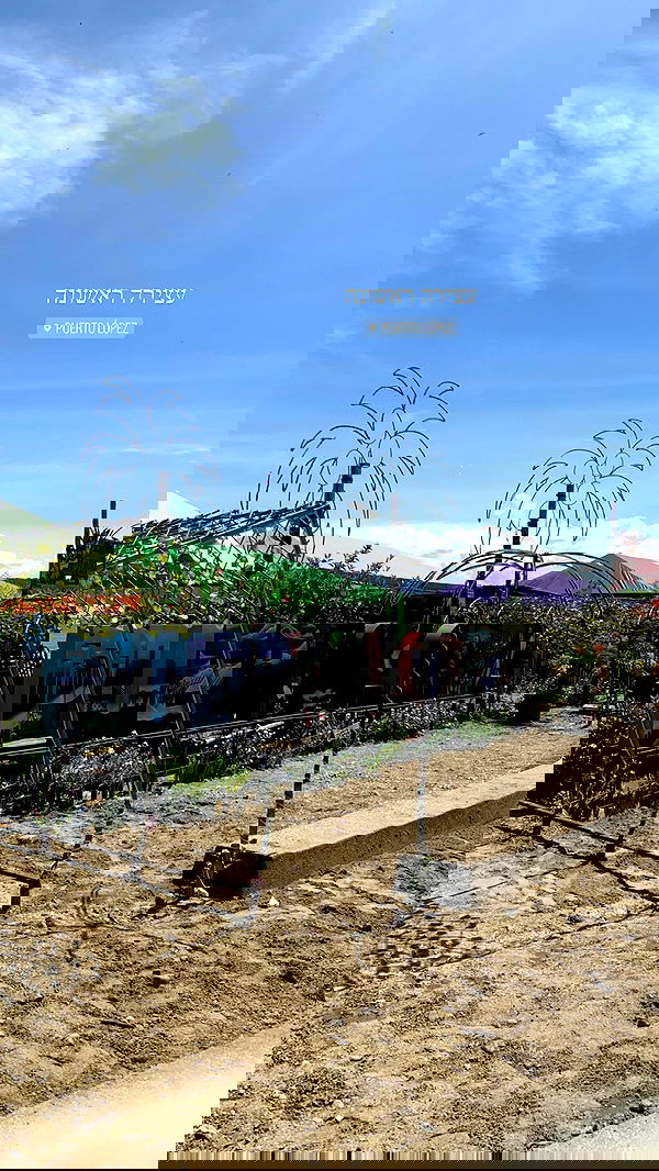 yasmin_kb yasmin_kb archive image