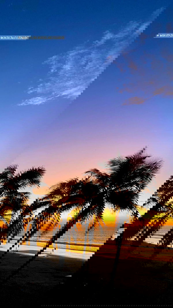 yasmin_kb yasmin_kb archive image