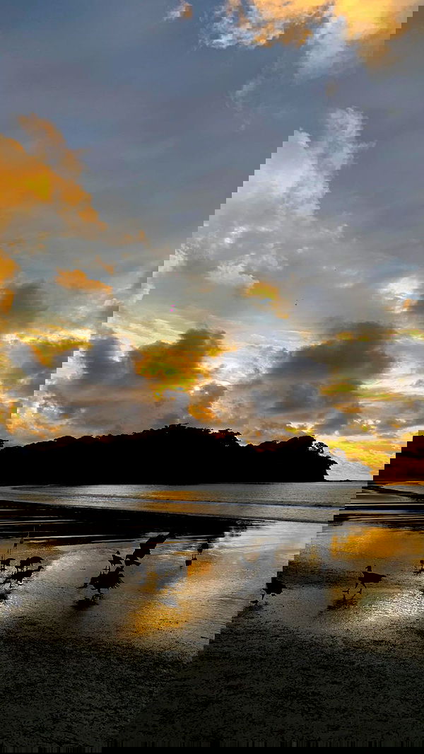 yasmin_kb yasmin_kb archive image