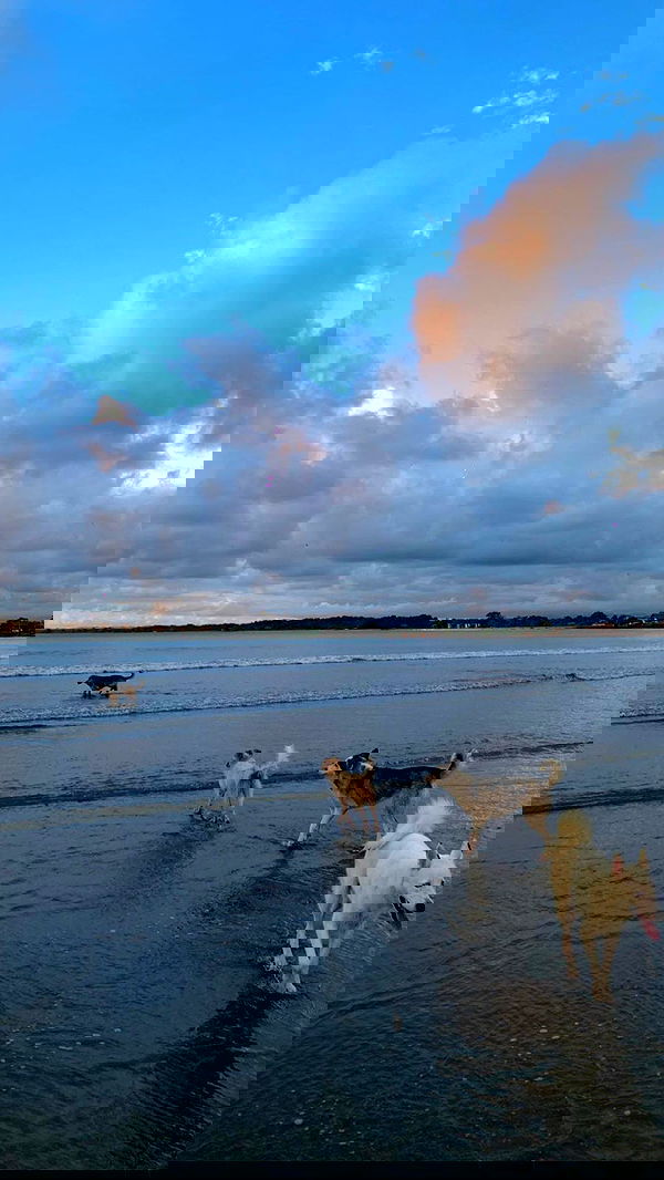 yasmin_kb yasmin_kb archive image