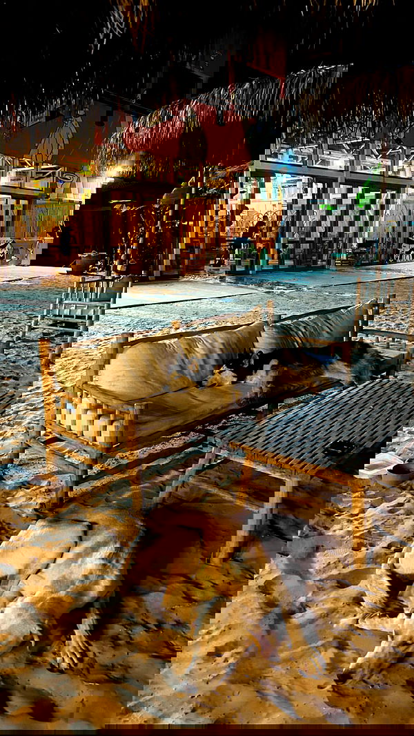 yasmin_kb yasmin_kb archive image