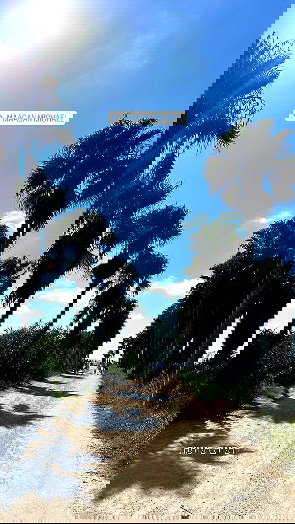 yasmin_kb yasmin_kb archive image