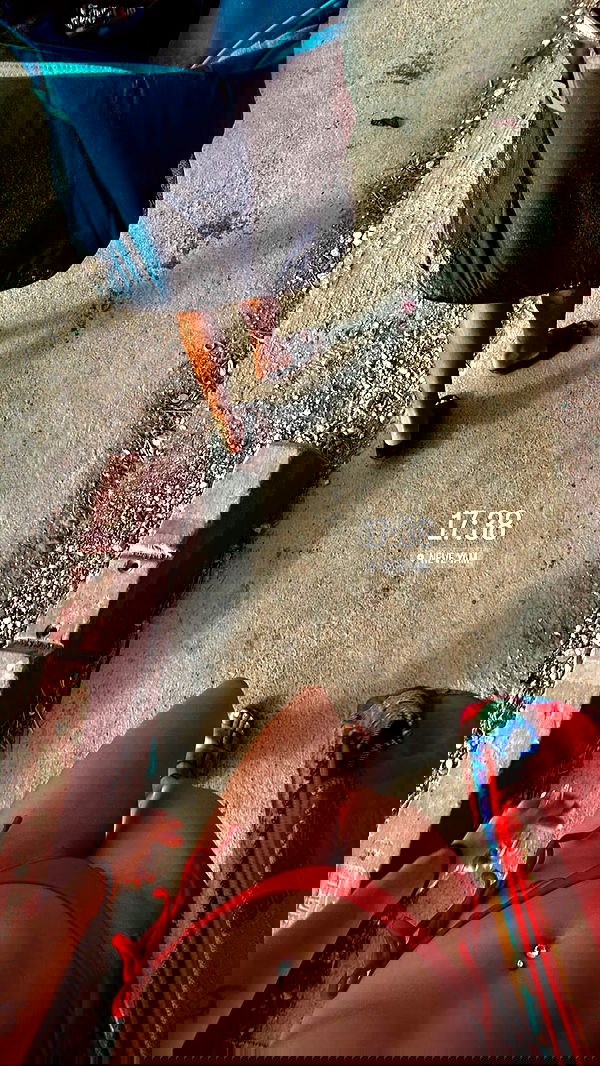 yasmin_kb yasmin_kb archive image