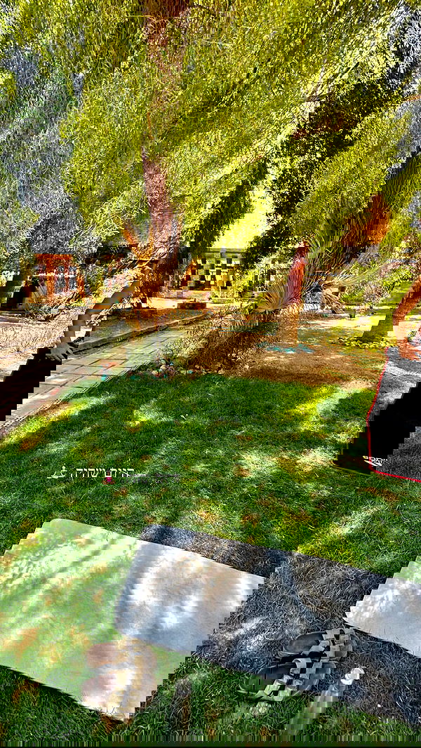 yasmin_kb yasmin_kb archive image