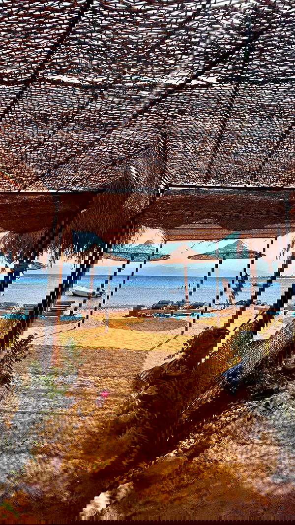 yasmin_kb yasmin_kb archive image