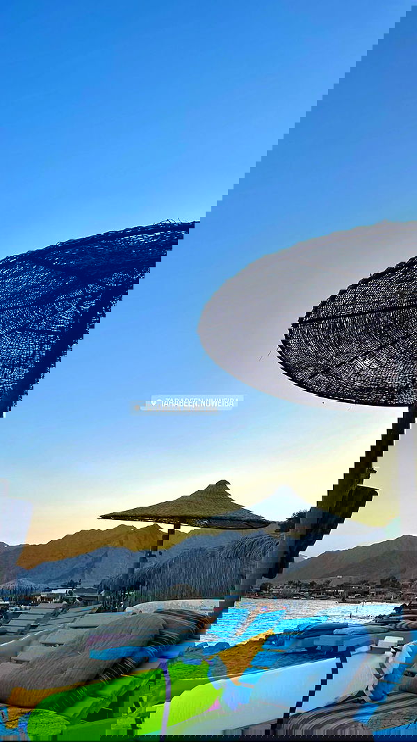 yasmin_kb yasmin_kb archive image