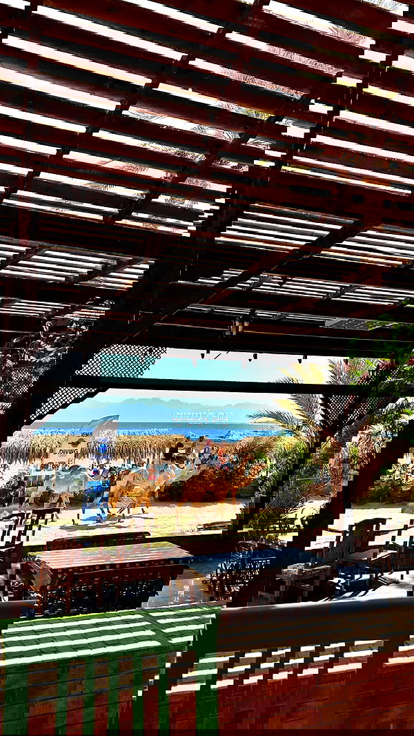 yasmin_kb yasmin_kb archive image