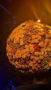 _dafi_lu Altpins Profile Picture