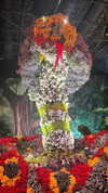_dafi_lu Altpins Profile Picture