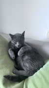 alex.banin Altpins Profile Picture