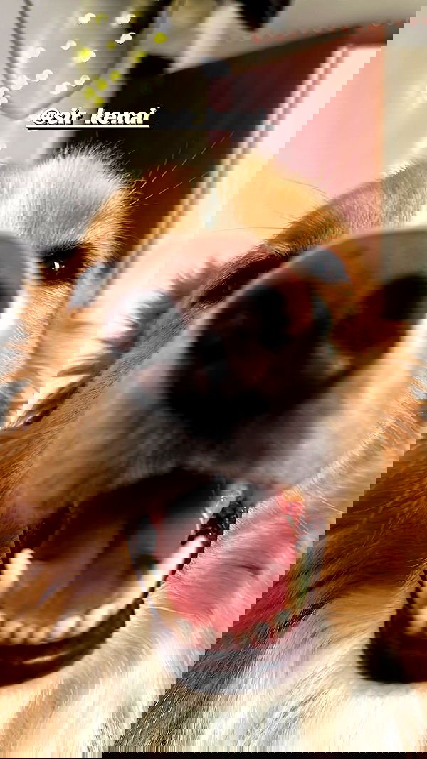 biton__adi biton__adi archive image