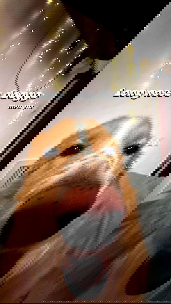 biton__adi biton__adi archive image