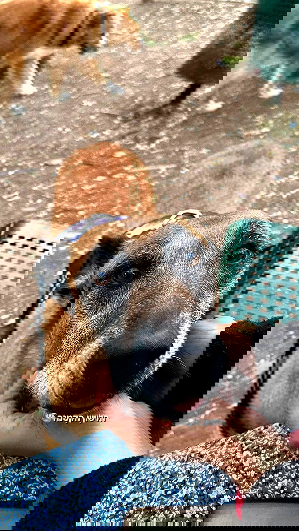 biton__adi biton__adi archive image