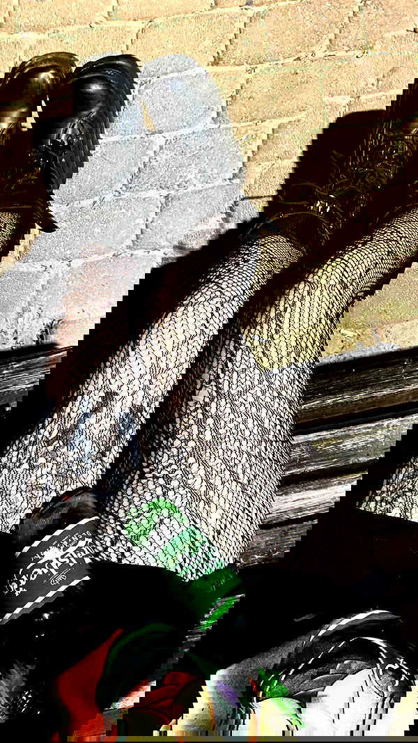 dustheadd dustheadd archive image