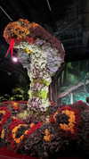 karin_orhov Altpins Profile Picture