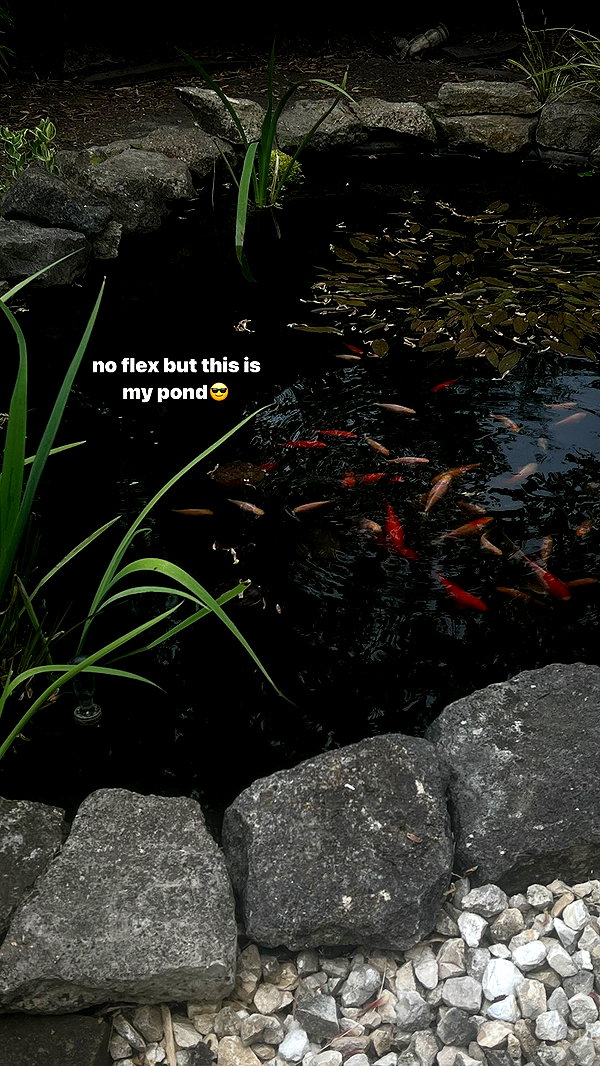 kiratheghoul instagram image archive image