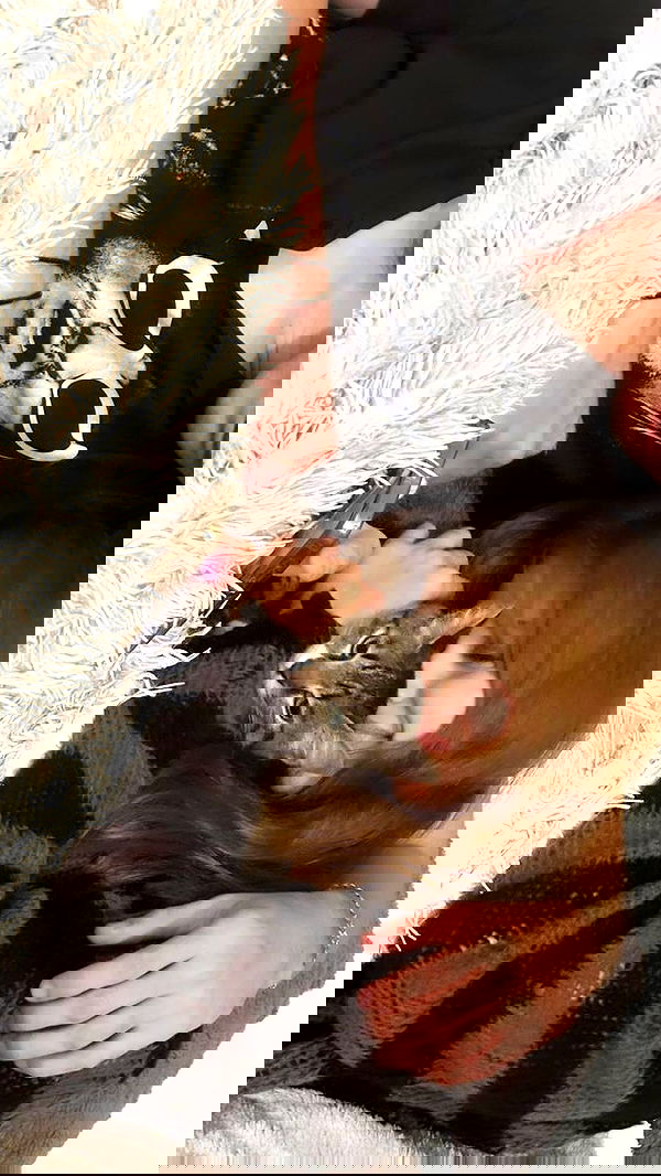 liashaked liashaked archive image