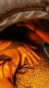 liiuuar Altpins Profile Picture