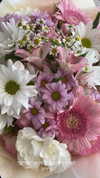 liori_hen Altpins Profile Picture