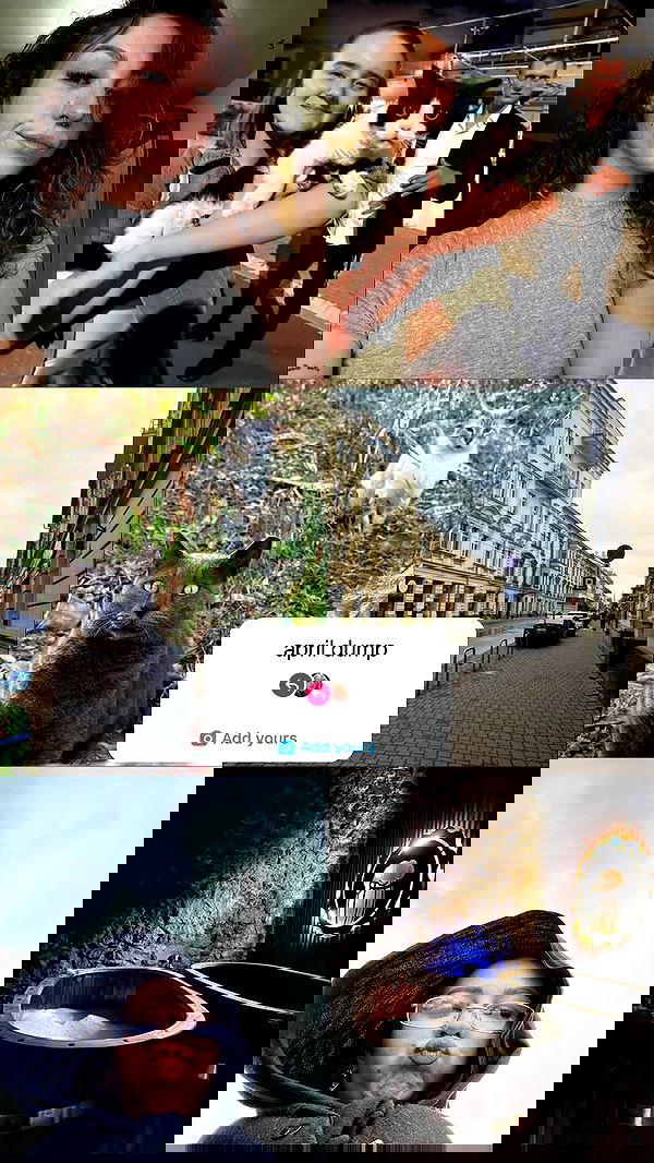 mishel116 mishel116 archive image