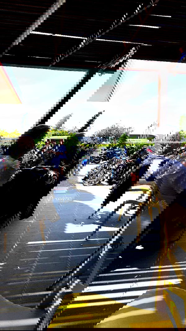 shanidahan7 image ~ Altpins