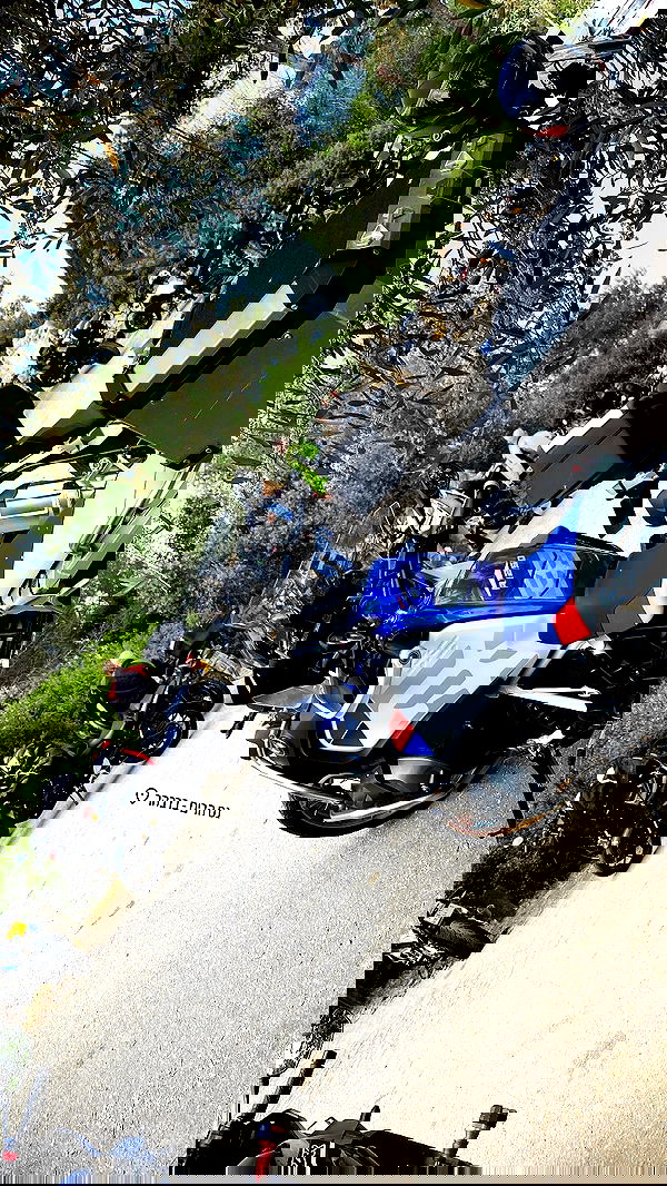 shanidahan7 image ~ Altpins