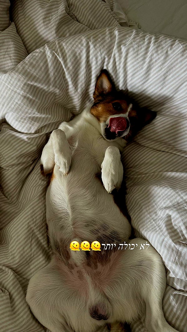shir.moshe666 instagram image archive image