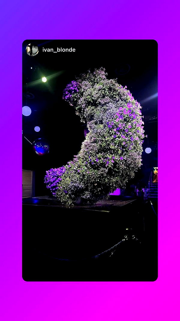 toharb_ instagram image archive image