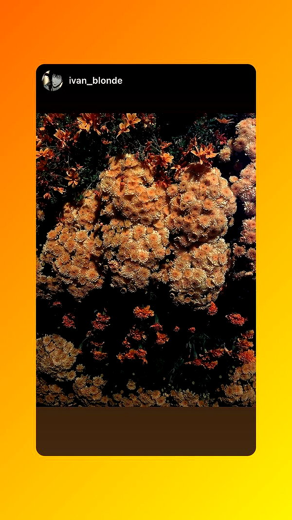 toharb_ instagram image archive image
