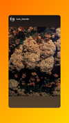 toharb_ Altpins Profile Picture