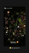 toharb_ Altpins Profile Picture
