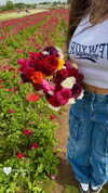 yahel_tubul Altpins Profile Picture